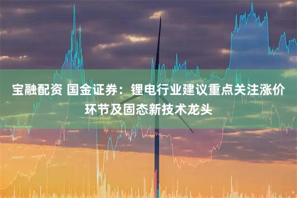 宝融配资 国金证券:锂电行业建议重点关注涨价环节及固态新技术龙头