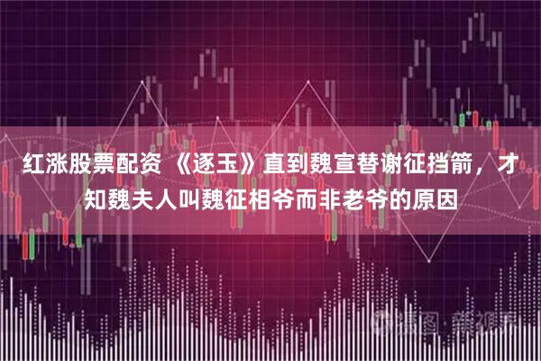 红涨股票配资 《逐玉》直到魏宣替谢征挡箭,才知魏夫人叫魏征相爷而非老爷的原因