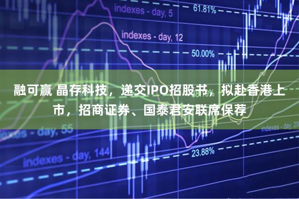 融可赢 晶存科技，递交IPO招股书，拟赴香港上市，招商证券、国泰君安联席保荐