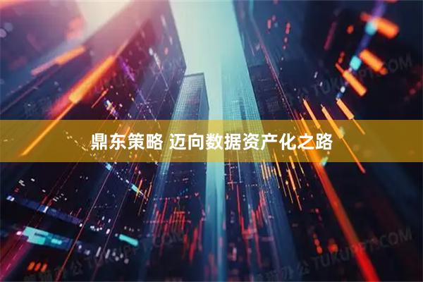 鼎东策略 迈向数据资产化之路