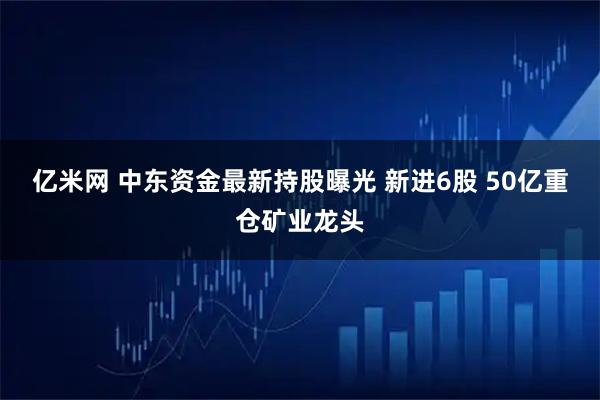 亿米网 中东资金最新持股曝光 新进6股 50亿重仓矿业龙头
