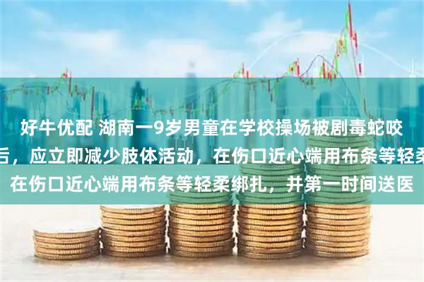 好牛优配 湖南一9岁男童在学校操场被剧毒蛇咬伤,医生:被毒蛇咬伤后,应立即减少肢体活动,在伤口近心端用布条等轻柔绑扎,并第一时间送医