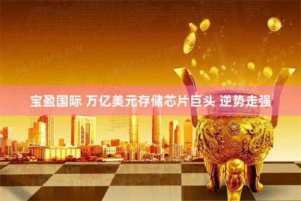 宝盈国际 万亿美元存储芯片巨头 逆势走强