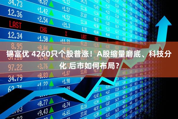 锦富优 4260只个股普涨!A股缩量磨底、科技分化 后市如何布局?