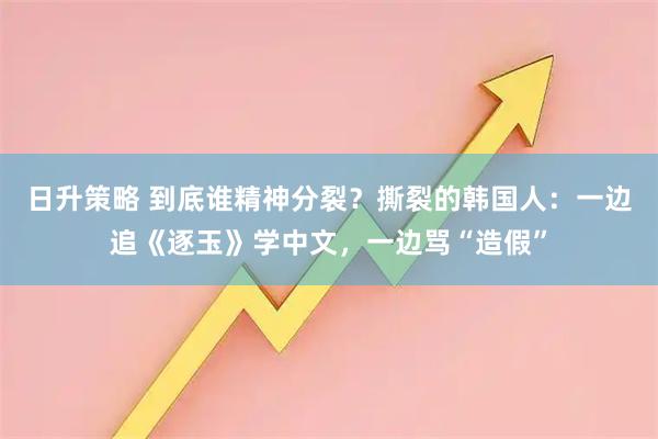 日升策略 到底谁精神分裂？撕裂的韩国人：一边追《逐玉》学中文，一边骂“造假”