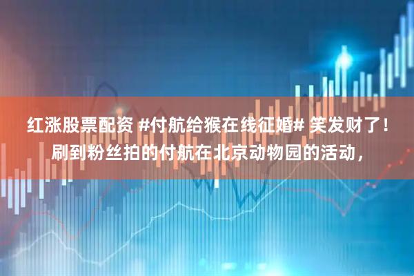 红涨股票配资 #付航给猴在线征婚# 笑发财了！刷到粉丝拍的付航在北京动物园的活动，