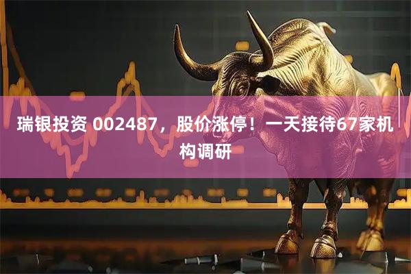 瑞银投资 002487，股价涨停！一天接待67家机构调研