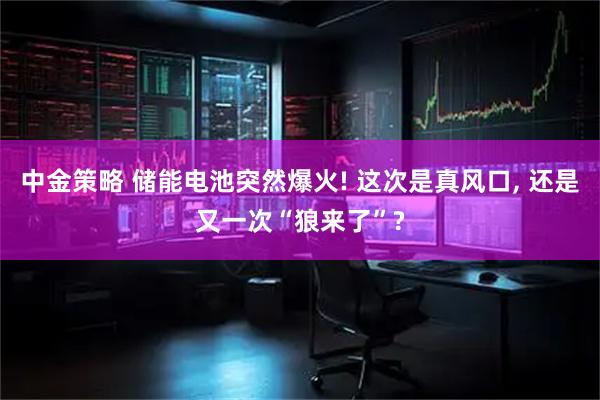 中金策略 储能电池突然爆火! 这次是真风口, 还是又一次“狼来了”?