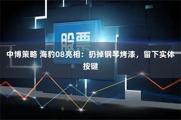 中博策略 海豹08亮相:扔掉钢琴烤漆,留下实体按键