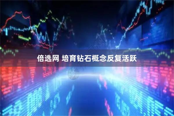 倍选网 培育钻石概念反复活跃