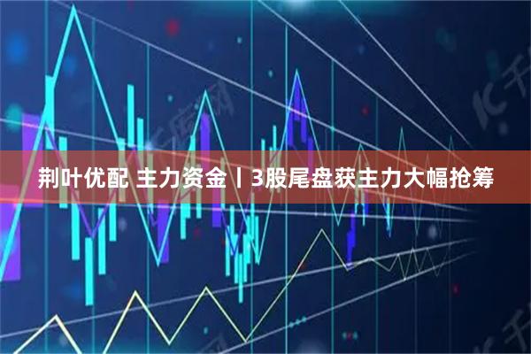 荆叶优配 主力资金丨3股尾盘获主力大幅抢筹