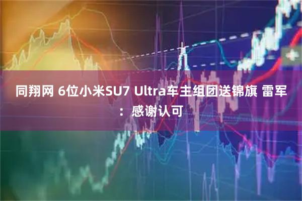 同翔网 6位小米SU7 Ultra车主组团送锦旗 雷军：感谢认可