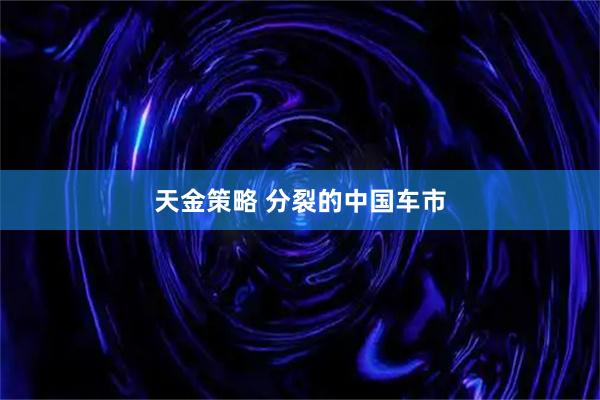 天金策略 分裂的中国车市