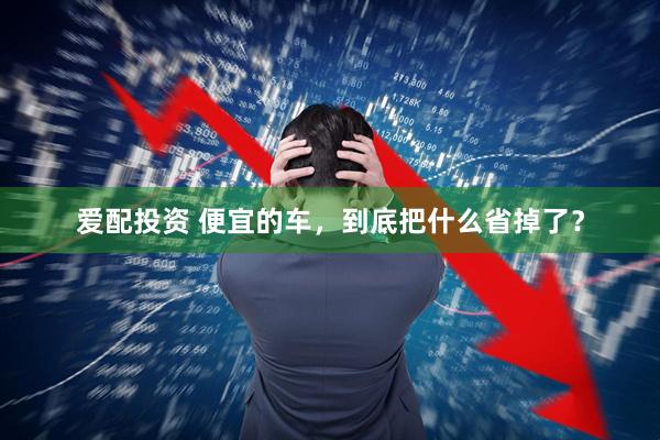 爱配投资 便宜的车,到底把什么省掉了?
