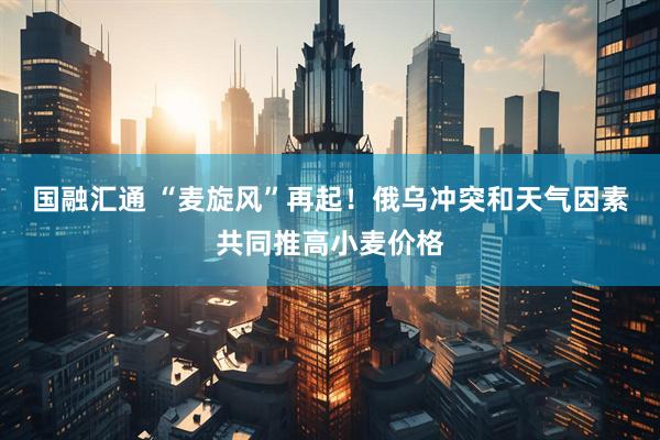 国融汇通 “麦旋风”再起！俄乌冲突和天气因素共同推高小麦价格